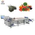  Industrial Large Vegetable Fruit Spray Washing Machine 2