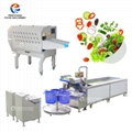 Commercial High Efficiency Fruit and