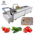 Commercial High Efficiency Fruit and Vegetable Cutting Washing and Drying Line f