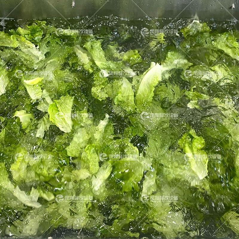 水果蔬菜沙拉切割清洗風乾生產線 3