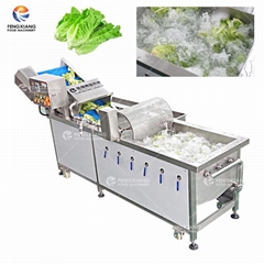 WA-1000 Vegetable Washing Machine Fruit Apple Orange Washer 