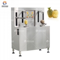Pineapple Processing Machine — Improving Efficiency and Quality