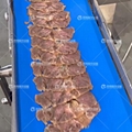 鳳翔 160型鮮肉切片機