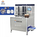 Authentic Taro Peeling Machine Pineapple