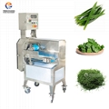 Pandan leaf shredding and Slicing Machine