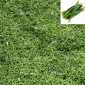 Pandan leaf shredding and Slicing Machine 2
