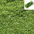 Pandan leaf shredding and Slicing Machine 3