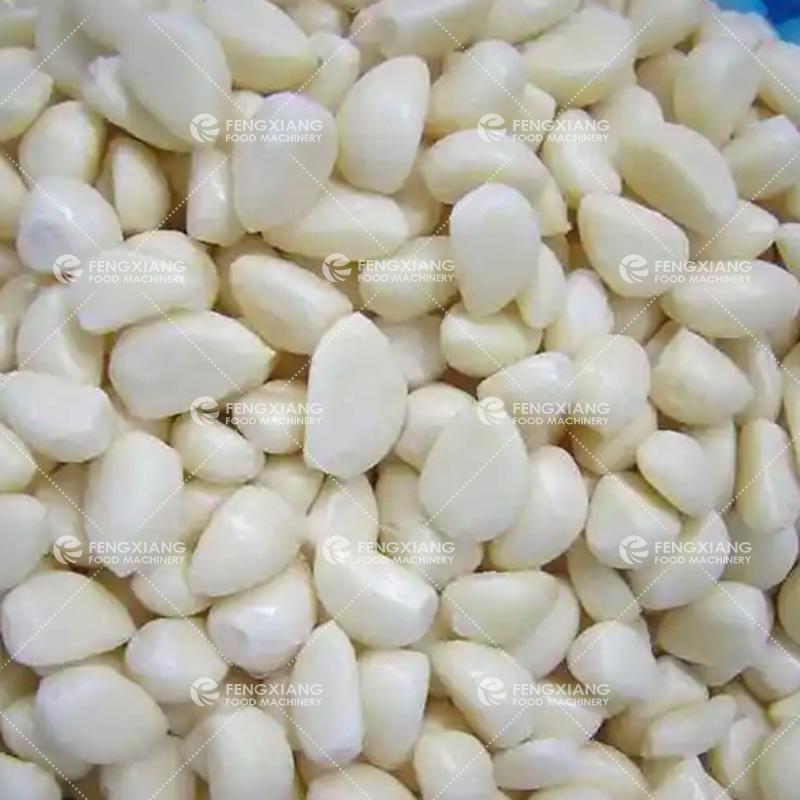 Garlic Separating And Peeling Machine 4
