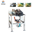 FX-C-108 scallion skin Peeling   machine