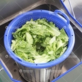 Ultrasonic Salad Fruit Washing And Dehydration Solution 4