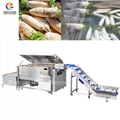 White radish cleaning line Carrot brush