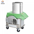 Automatic Cabbage Cutting Machine Shredded Cabbage Vegetable Machine 2