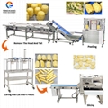 Pineapple Drying Processing Solution