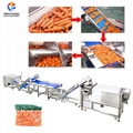 Carrot Processing Solution Carrot