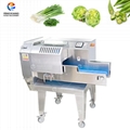 FTS-120/FTS-168 Vegetable Cutting Machine Scallion Cutting Machine 2