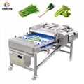 Double Roller root Cutter Celery And