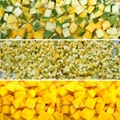 Continuous High Speed Mango Dicing Machine Fresh Mango Slicing Machine 5