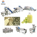 Olive Juice Processing Solution Yunnan