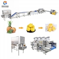 Thailand Pineapple Processing Line