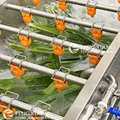 Pandan leaves Processing Line Pandan leaves Washing Machine 2