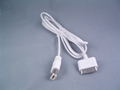iPod IEEE1394传输