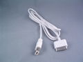 iPod IEEE1394 Firewire