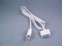 iPod IEEE1394 Firewire