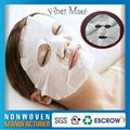 Spunlace Nonwoven Compressed Facial Mask