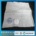 Non-woven compressed towel