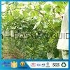 High Quality Fruit Bag Fruit Insect-Resistant Bags Uv Resistance Gardening Plant