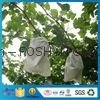High Quality Fruit Bag Fruit Insect-Resistant Bags Uv Resistance Gardening Plant