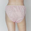 OEM ODM Disposable Sanitary Underwear Customized For Women Lady Pants Factory