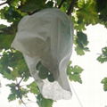 Non Woven Planter Bag Disposable Grape Protection Bag 1