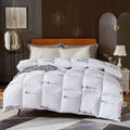 200X230Cm Factory Five-Star Hotel Down Alternative Anti Bacterial Duvet Quilt