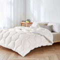 Comfortable Warm Cloud Like Feeling Polyester Microfiber Quilt  1