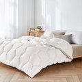Comfortable Warm Cloud Like Feeling Polyester Microfiber Quilt 