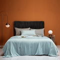 Thickened Warmth Cool Duvet Version