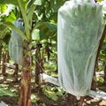 Nonwoven Banana Bag Fruit Insect-Resistant  Uv Resistance Gardening Plant 1