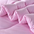 Feminine  Modern Design Comforter Polyester Filling Pink Winter Comforter