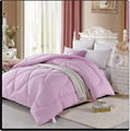 Feminine  Modern Design Comforter Polyester Filling Pink Winter Comforter