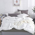 Bedding Thickened Warmth Duvet Insert