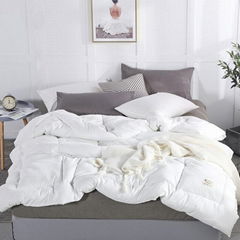 Bedding Thickened Warmth Duvet Insert With Corner Tabs Winter Comforter