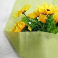 Flower Shop Bouquet DIY Vrafts Gift Packaging Flower Wrapping Nonwoven Paper