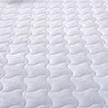 Modern Design Solid Color High-Class King Size Soft Anti Dust Mattress Protector