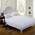 Modern Design Solid Color High-Class King Size Soft Anti Dust Mattress Protector