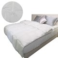 ODM Five-Star Hotel Antimicrobial Warm Fluffy Down Alternative Filled Comforter
