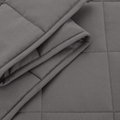 Heaviest Blanket Factory Keep Warm Premium High Standard Anti-Mite Blanket 