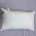 Hotel Collection OEM ODM Fluffy Pillows Manufacturer Ultra Soft Hotel Pillow 