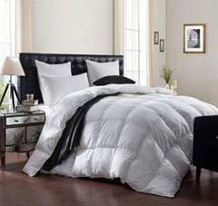 High Quality Customized Polyester Fabric Duvet Soft Warm Comfortable Comforter