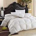 Factory Directly Sale 100% Down Alternative White Antibacterial Comforters 